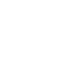 Icon Telefon SECANDA