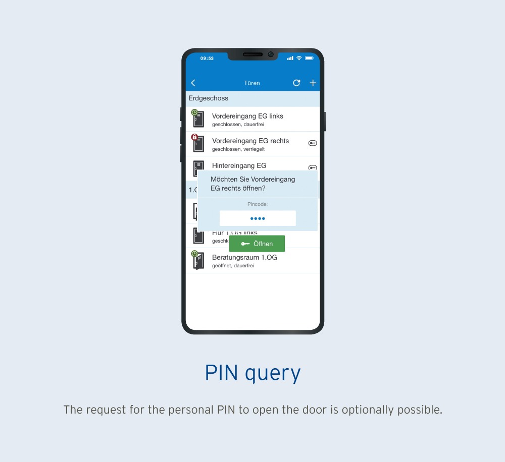 PIN query