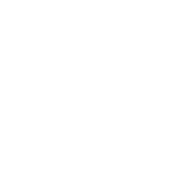 Icon thermo rewrite printeri